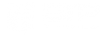 STP_LOGO_PLUMA_blanco-370x131